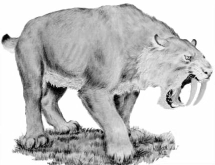 Smilodon.jpg