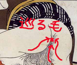 毛が巡っているタイプのコピー.jpg 毛が巡っているタイプのコピー.jpg